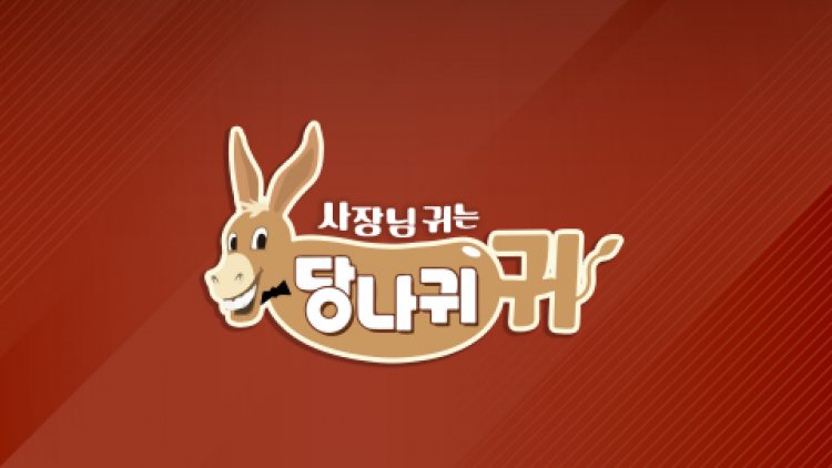 사장님 귀는 당나귀 귀 266회 최초의 아나운서 보스 엄지인