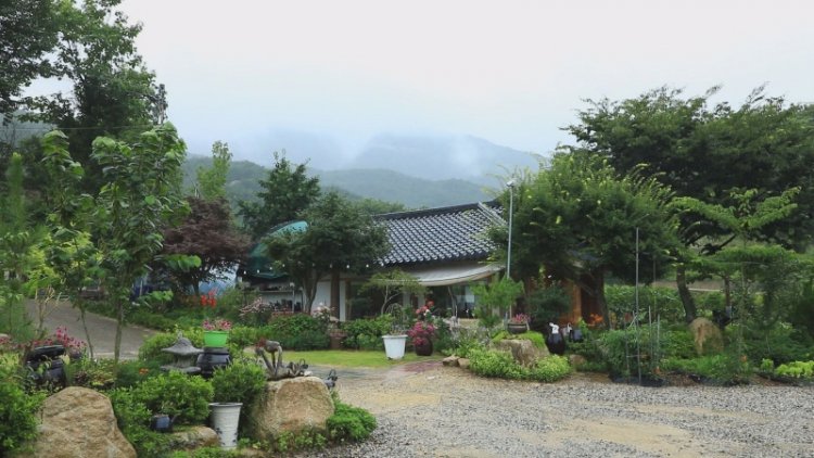 한국기행 764편 '물 만났네 여름' 4부 '나만의 계곡 아지트'